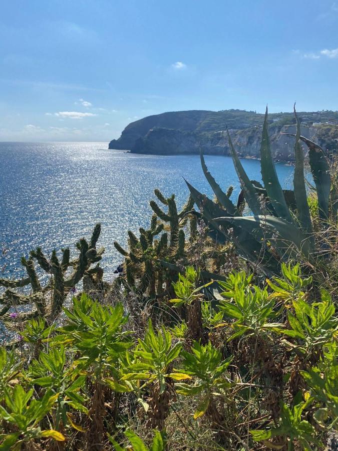 B&B Lodge Dell'Ospite Ischia Casamicciola Terme Kültér fotó