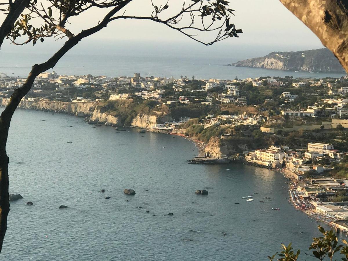 B&B Lodge Dell'Ospite Ischia Casamicciola Terme Kültér fotó